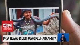 VIDEO: Ngeri! Pria Tewas Dililit Ular Peliharaannya Sendiri