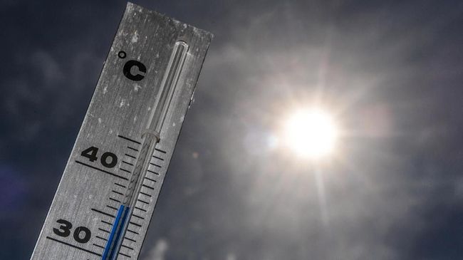 Cuaca panas dapat memicu heat stroke yang dapat merusak organ penting tubuh. Untuk menghindarinya, kenali beberapa tanda tubuh saat mengalami overheated.