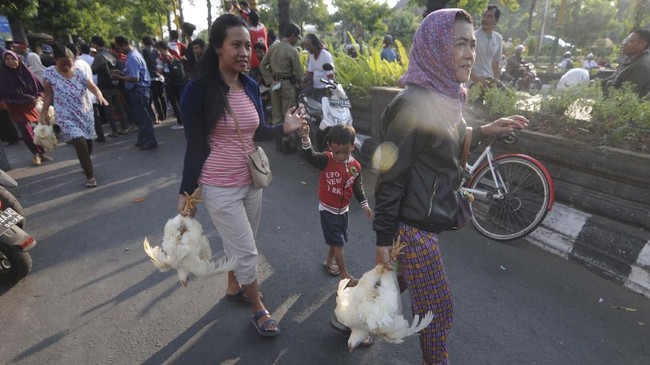 FOTO: Protes Harga Anjlok, Peternak Bagi-bagi Ayam Gratis