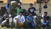 FOTO: Balap Kambing Menyambut Panen Karapan kambing merupakan tradisi turun temurun warga Probolinggo, khususnya masyarakat Pandulungan.