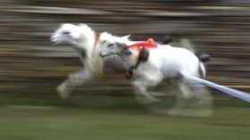 FOTO: Balap Kambing Menyambut Panen