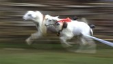 FOTO: Balap Kambing Menyambut Panen Karapan kambing merupakan tradisi turun temurun warga Probolinggo, khususnya masyarakat Pandulungan.