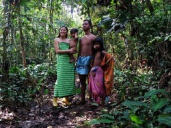 Suku Anak Dalam Jambi: Asal-usul, Pola Hidup, hingga Tradisi