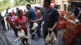 FOTO: Protes Harga Anjlok, Peternak Bagi-bagi Ayam Gratis Para peternak membagikan ribuan ayam secara gratis kepada masyarakat. Hal itu dilakukan sebagai salah satu bentuk protes karena harga ayam anjlok.