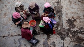 FOTO: Kekesalan Pemburu Jamur Obat Pada Perubahan Iklim