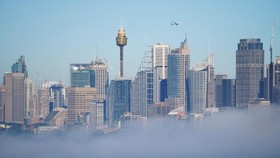 Akibat Kabut Tebal Penerbangan di Bandara Sydney Terganggu