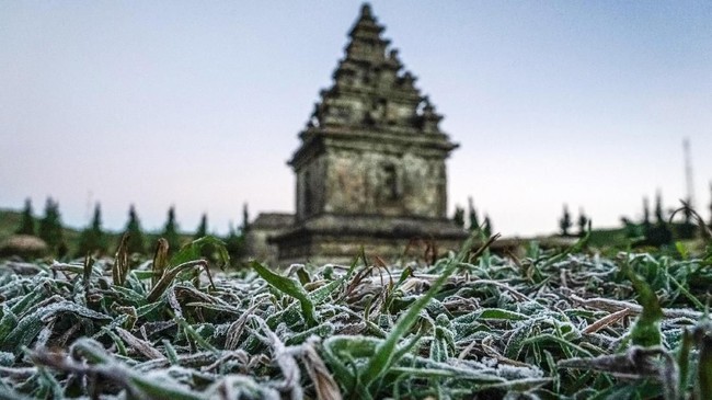 Sejak beberapa hari ke belakang, kawasan Dataran Tinggi Dieng, Jawa Tengah kembali diselimuti embun es.