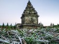 BMKG Sebut Wilayah yang Alami Dingin Ekstrem Seperti Dieng