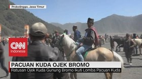 VIDEO: Pacuan Kuda Ojek Bromo