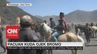 VIDEO: Pacuan Kuda Ojek Bromo