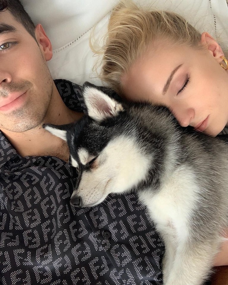 Awal Mei 2019, Joe Jonas dan Sophie Turner resmi menikah di Las Vegas.Keduanya,membagikan momen kebahagiaan tersebut sejak masih berpacaran.Berikut,6 potretnya.