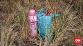 FOTO: Memanen Sisa Padi di Ujung Utara Jakarta Para petani dikawasan Marunda, Cilincing, Jakarta mulai sibuk memanen padi yang sudah mulai menguning.