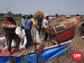 Inflasi lebih Tinggi dari Upah, Daya Beli Buruh Tani Melorot