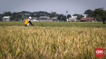 Prabowo Siapkan Rp15 T Buat Cetak Sawah Baru dan Intensifikasi Lahan