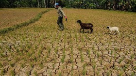 Kemarau Panjang, Krisis Air Bersih Meluas di Sejumlah Wilayah