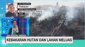 VIDEO: Kebakaran Hutan dan Lahan Meluas