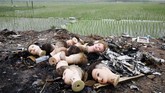 NYALANG: Kisah Abadi di Belantara Angan Dalam foto unik pilihan CNNIndonesia.com pekan ini, ada cerita tentang panas yang menyengat Eropa, padi-padi unik di China, dan api di Pan America Games.