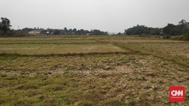 Peneliti Klimatologi di Pusat Riset dan Teknologi Atmosfer (PSTA) menjelaskan penyebab wilayah Indonesia berbeda-beda musim.