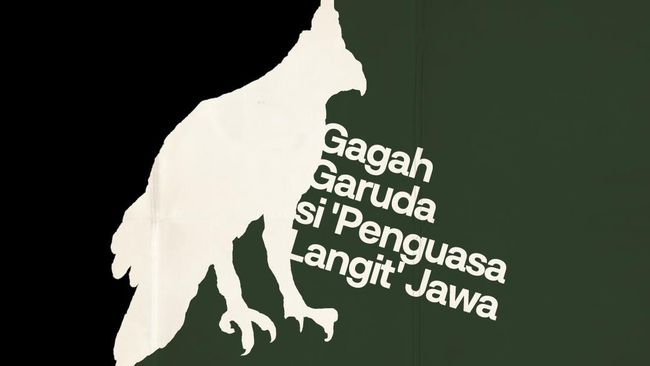 infografis gagah garuda si penguasa langit jawa gagah garuda si penguasa langit jawa