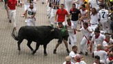 FOTO : Berdarah-darah demi Festival San Fermin Festival San Fermin diselenggarakan untuk mengingat Fermin, putra senator zaman Romawi yang jadi uskup pertama, tewas dikejar banteng.