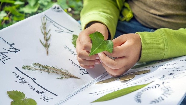 Ketika anak sakitm herba kadang jadi pilihan solusinya. Lantas, herba seperti apa yang aman untuk anak?