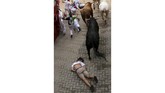 FOTO : Berdarah-darah demi Festival San Fermin Festival San Fermin diselenggarakan untuk mengingat Fermin, putra senator zaman Romawi yang jadi uskup pertama, tewas dikejar banteng.