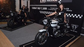 Berburu Motor Triumph Edisi Terbatas