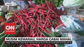 VIDEO: Musim Kemarau, Harga Cabai Mahal