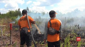 VIDEO: Kebakaran Lahan Gambut Masih Terjadi di Palangka Raya