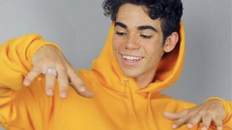 6 Fakta Cameron Boyce Sebelum Meninggal Dunia - Foto 1