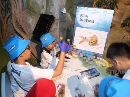 Keseruan Anak-anak Mengenal Lebih Dekat Dunia Satwa Air