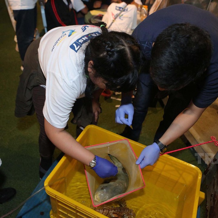 <div>Si kecil yang satu ini berani mengambil sampel cacing di tubuh ikan lho.</div><div> </div>