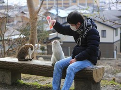 Warga Jepang Diperingatkan untuk Tidak Menyentuh Kucing