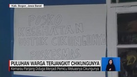 VIDEO: Puluhan Warga Terjangkit Chikungunya