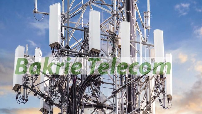 Bakrie Telecom tengah menunggu proses revisi UU Penyiaran untuk mengembangkan bisnis barunya, yaitu penyediaan infrastruktur televisi (tv) digital.