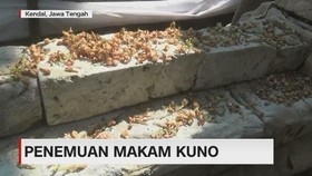 VIDEO: Geger Penemuan Makam Kuno