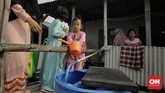 FOTO: Kemarau di Pesisir Jakarta Warga di pesisir Jakarta Utara kesulitan mendapat air bersih sejak Ibu Kota tak diguyur hujan. Pengeluaran warga untuk air bersih melonjak 5 kali lipat.