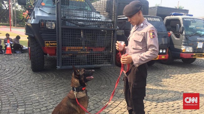Anjing K-9, yang membantu penegakan hukum hingga pelacakan narkoba, disebut butuh ikatan rasa dengan polisi yang jadi pawangnya agar makin mahir.