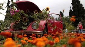 FOTO: Lompatan Terakhir Si Kodok, VW Beetle