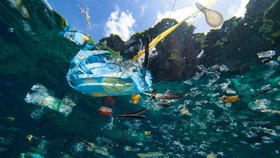 Studi: Limbah Plastik di Atlantik Lebih Banyak dari Dugaan
