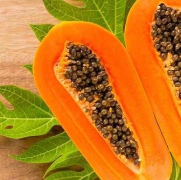 7 Resep Olahan Pepaya Jadi Aneka Cemilan Enak dan Simple