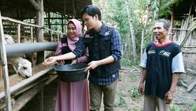 Pengalaman Anisa dan Dito Urus Kambing Global Qurban di Blora