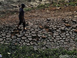 BPBD Jabar: Kabupaten Bogor-Bandung Mulai Laporkan Kekeringan