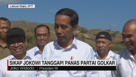 VIDEO: Sikap Jokowi Tanggapi Panas Partai Golkar