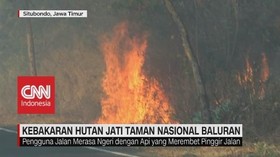 VIDEO: Kebakaran Hutan Jati Taman Nasional Baluran