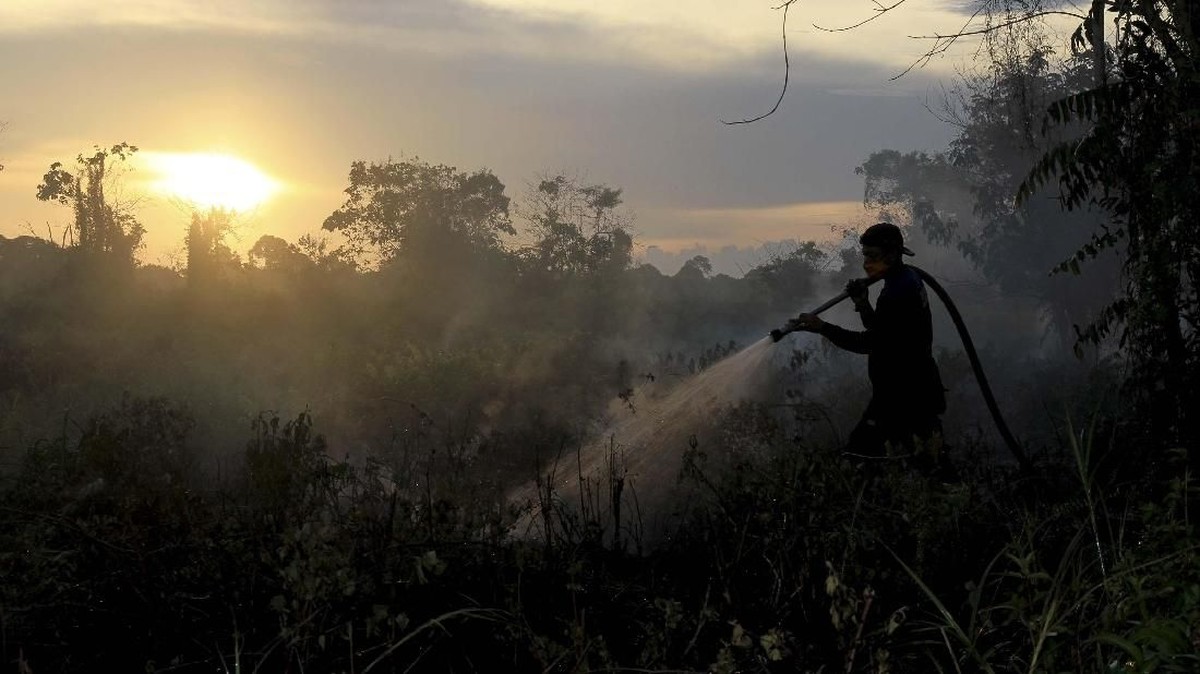 FOTO : Kebakaran Lahan di Aceh Barat Meluas