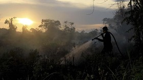 Api Membara 32 Jam, Puluhan Hektar Lahan Gambut Terbakar