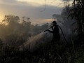 Kebakaran Hutan dan Lahan Kepung Ibu Kota Baru