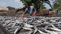 Sarapan Ikan Asin Bisa Menyebabkan Hipertiroid, Benar Nggak Sih?