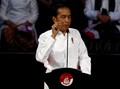 Narasi Usang Pidato Visi 'Investasi' Jokowi